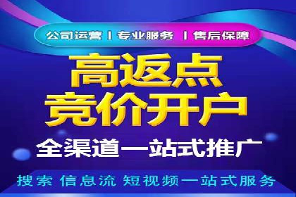 案例分享：SEM推广助力电商快速崛起